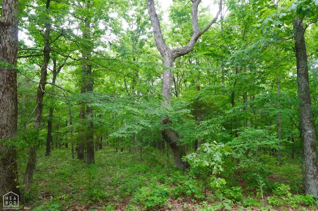 0 Cokley Rd, Warm Springs, AR 72478 - view of woods