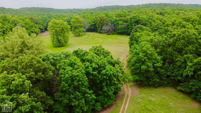 0 Cokley Rd, Warm Springs, AR 72478 - aerial view of a forest