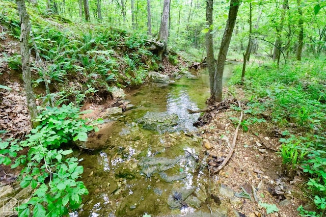 0 Cokley Rd, Warm Springs, AR 72478 - view of undeveloped land
