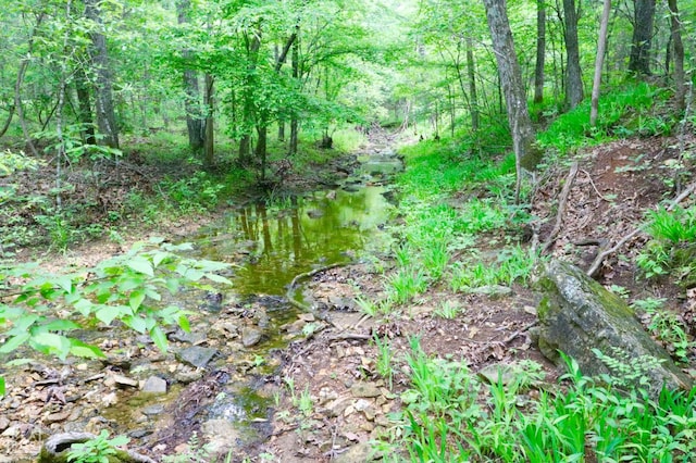 0 Cokley Rd, Warm Springs, AR 72478 - view of undeveloped land