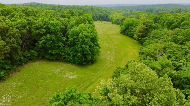 0 Cokley Rd, Warm Springs, AR 72478 - bird's eye view of a heavily wooded area
