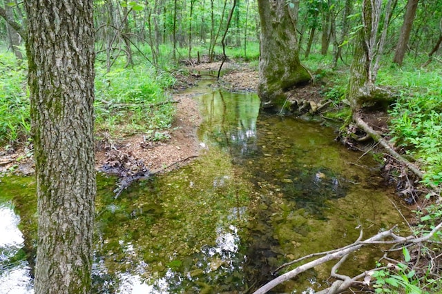 0 Cokley Rd, Warm Springs, AR 72478 - water view