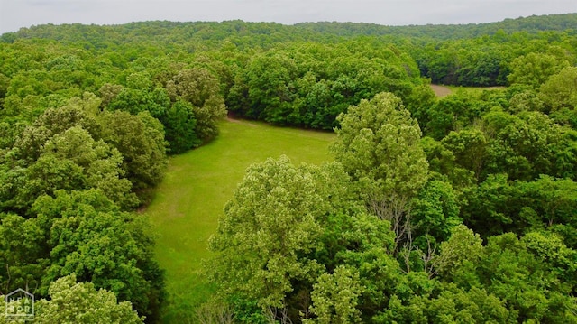 0 Cokley Rd, Warm Springs, AR 72478 - bird's eye view of a forest