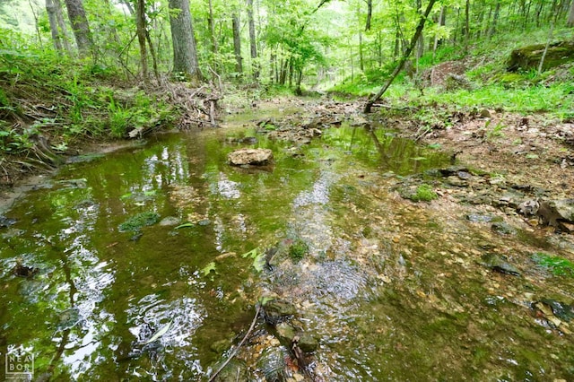 0 Cokley Rd, Warm Springs, AR 72478 - view of woods
