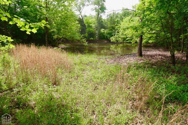 0 Cokley Rd, Warm Springs, AR 72478 - view of undeveloped land