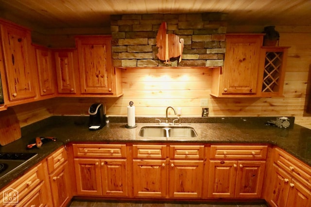 0 Cokley Rd, Warm Springs, AR 72478 - kitchen featuring a sink, electric stovetop, and wooden ceiling