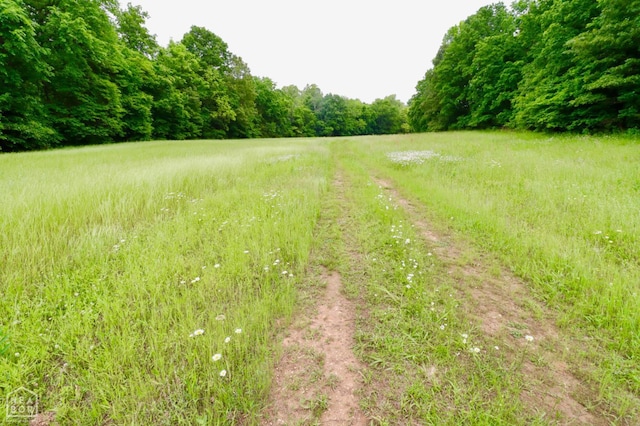 0 Cokley Rd, Warm Springs, AR 72478 - view of yard featuring a forest view