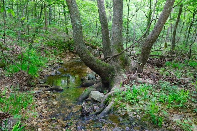 0 Cokley Rd, Warm Springs, AR 72478 - view of tree filled area