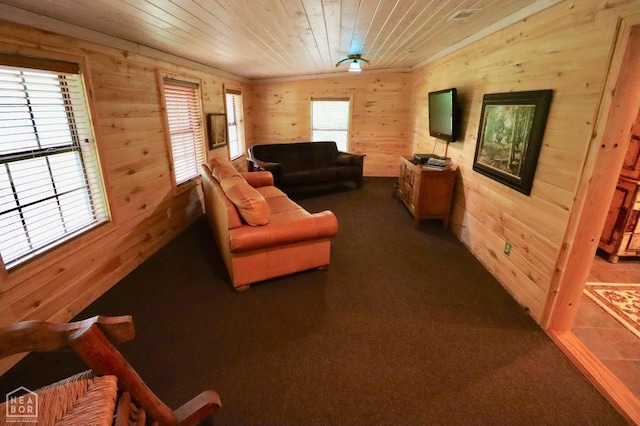 0 Cokley Rd, Warm Springs, AR 72478 - living room featuring wood walls and wood ceiling