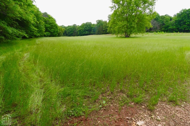 0 Cokley Rd, Warm Springs, AR 72478 - view of yard with a view of trees