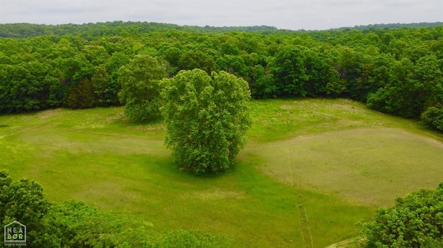 0 Cokley Rd, Warm Springs, AR 72478 - aerial view