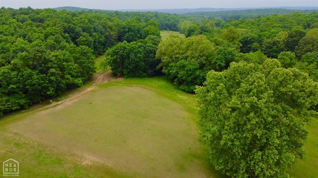 0 Cokley Rd, Warm Springs, AR 72478 - drone / aerial view of a forest