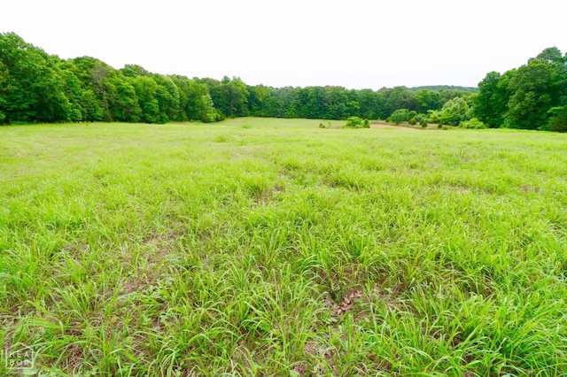0 Cokley Rd, Warm Springs, AR 72478 - view of wooded area with a view of rural / pastoral area
