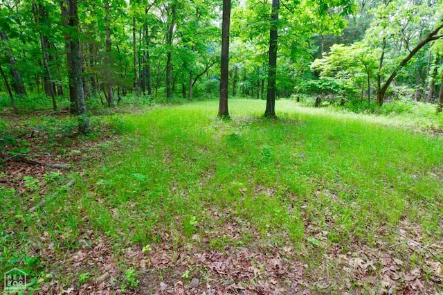 0 Cokley Rd, Warm Springs, AR 72478 - view of woods