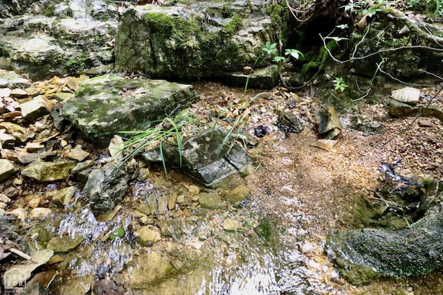 0 Cokley Rd, Warm Springs, AR 72478 - view of local wilderness