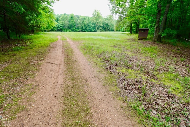 0 Cokley Rd, Warm Springs, AR 72478 - view of dirt / gravel road featuring a wooded view
