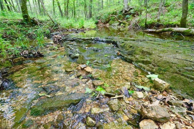 0 Cokley Rd, Warm Springs, AR 72478 - view of wooded area