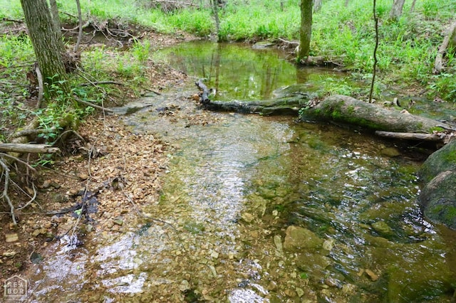 0 Cokley Rd, Warm Springs, AR 72478 - water view