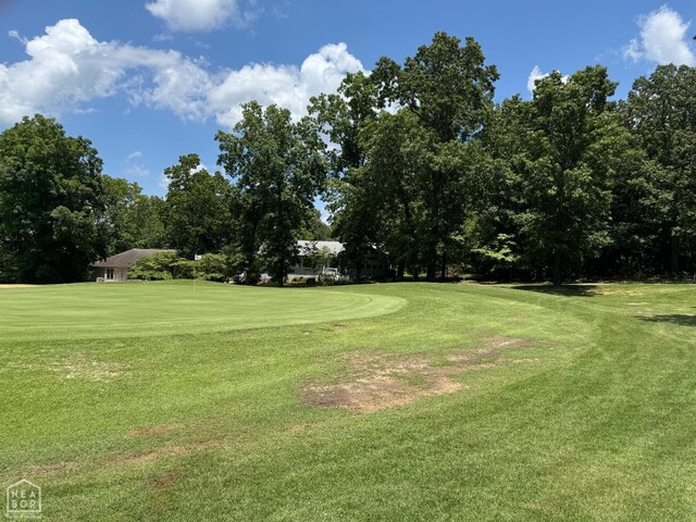 4 Skeinah Cir, Cherokee Village, AR 72529 - photo 17