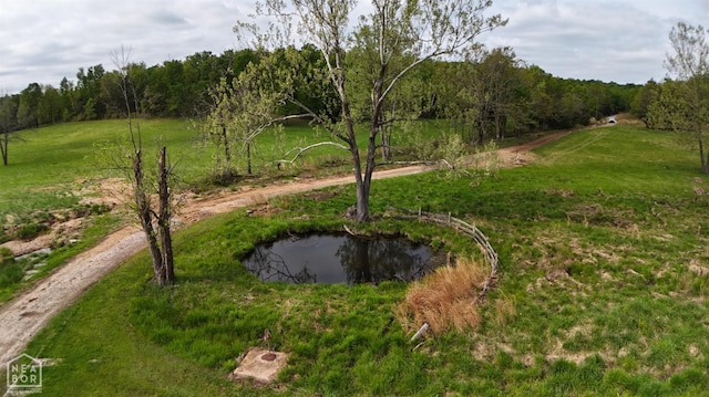 3697 Republican Rd, Salem, AR 72576 - photo 4