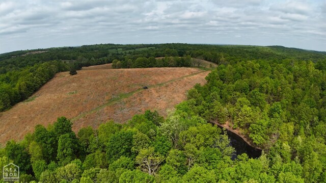 3697 Republican Rd, Salem, AR 72576 - photo 10