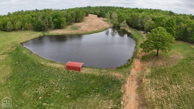 3697 Republican Rd, Salem, AR 72576 - photo 9