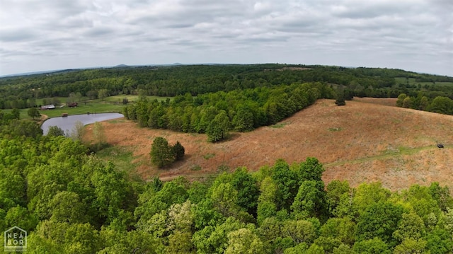 3697 Republican Rd, Salem, AR 72576 - photo 2