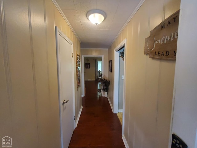 691 Crestline Dr, Piggott, AR 72454 - hall with ornamental molding, dark wood finished floors, and a decorative wall