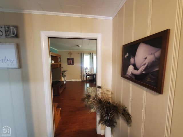 691 Crestline Dr, Piggott, AR 72454 - hallway with ornamental molding, dark wood-style floors, and a decorative wall