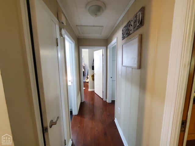 691 Crestline Dr, Piggott, AR 72454 - hall featuring dark wood-style floors and baseboards