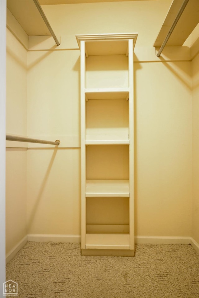 walk in closet with carpet
