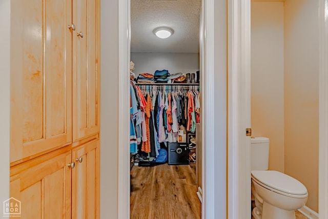 1409 Hemingway Cir, Jonesboro, AR 72405 - walk in closet featuring light wood finished floors