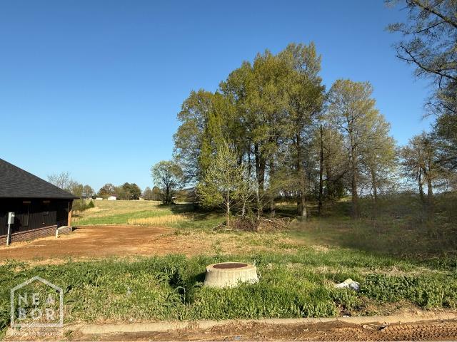 21 N 8 1/2 St, Paragould, AR 72450 - photo 1