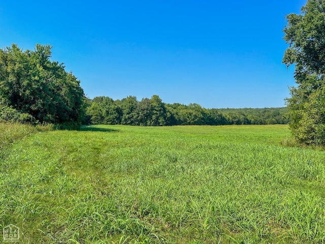 785 Strawberry River Rd, Smithville, AR 72466 - photo 36