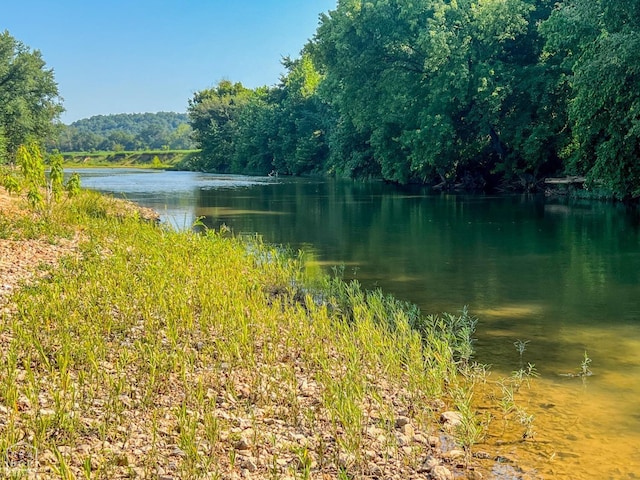 785 Strawberry River Rd, Smithville, AR 72466 - photo 32