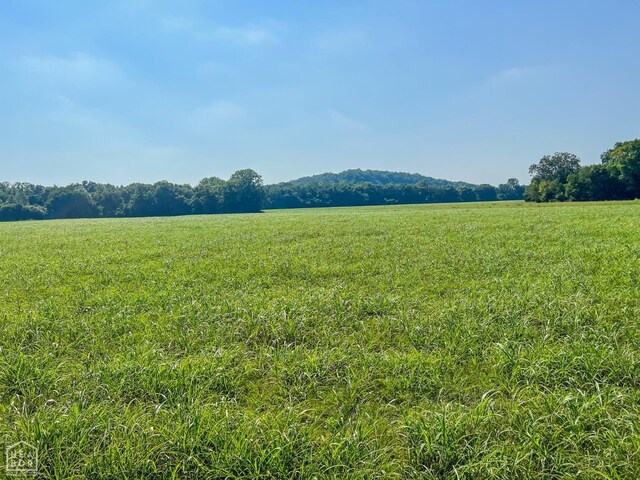 785 Strawberry River Rd, Smithville, AR 72466 - photo 33
