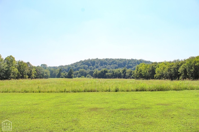 785 Strawberry River Rd, Smithville, AR 72466 - photo 42