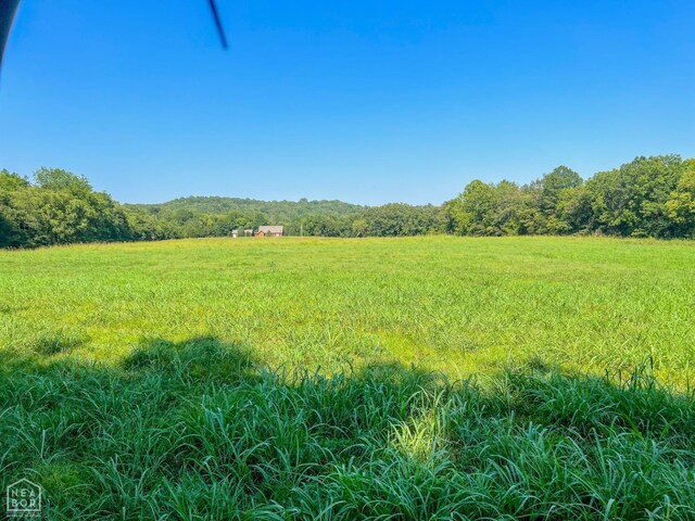 785 Strawberry River Rd, Smithville, AR 72466 - photo 40