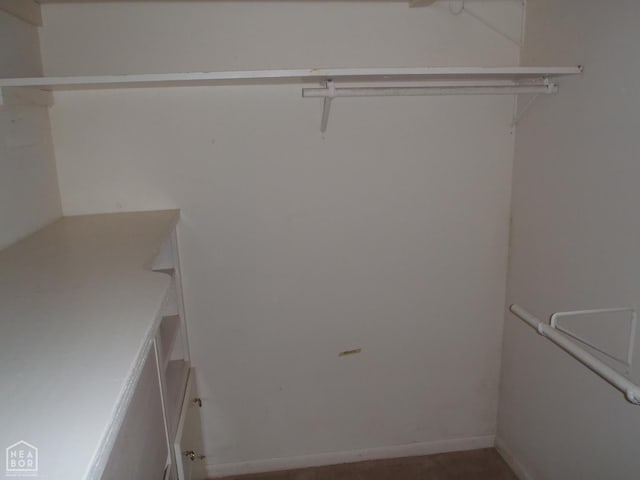 4 Virginia Rd, Newport, AR 72112 - view of spacious closet
