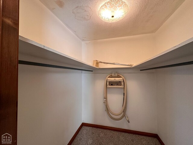 245 S 18th St, Piggott, AR 72454 - walk in closet featuring carpet flooring