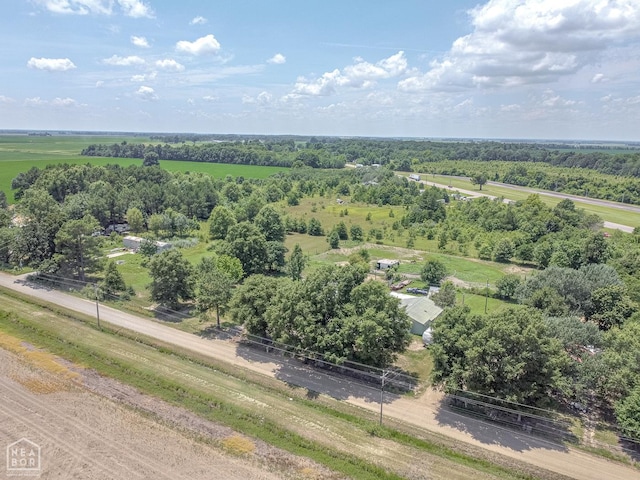 769 County Road 155, Corning, AR 72422 - photo 32