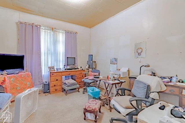 769 County Road 155, Corning, AR 72422 - photo 22