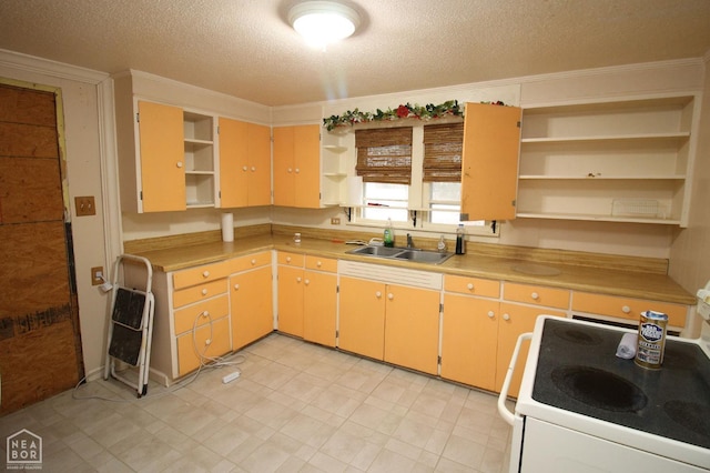 261 Greene Road 507, Lafe, AR 72436 - kitchen with open shelves, a sink, electric range, a textured ceiling, and ornamental molding