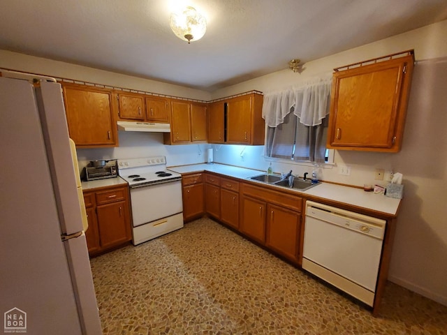 kitchen featuring white appliances, under cabinet range hood, light countertops, a sink, and brown cabinets