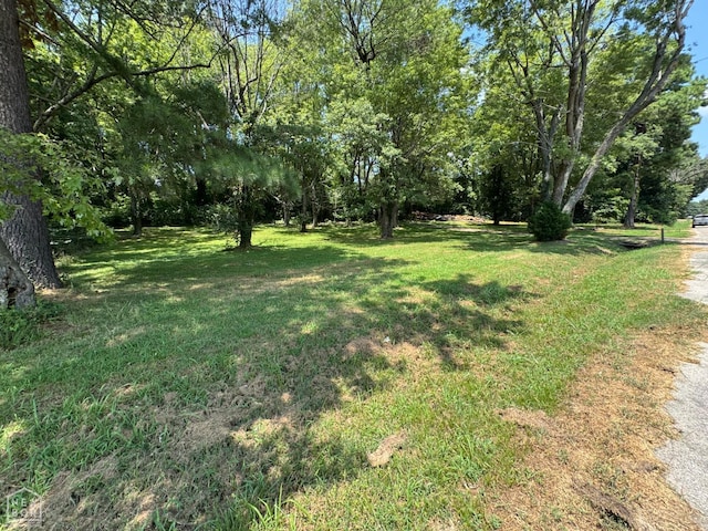 1051 Madison Ave, Piggott, AR 72454 - photo 20