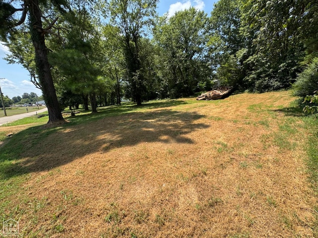 1051 Madison Ave, Piggott, AR 72454 - photo 19