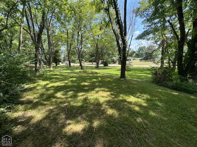 1051 Madison Ave, Piggott, AR 72454 - photo 3