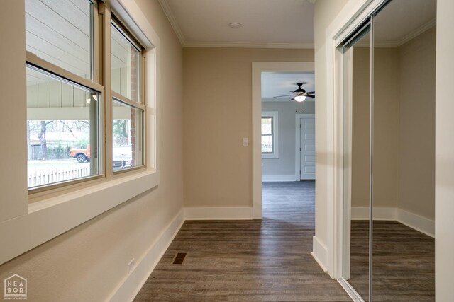 corridor featuring crown molding, baseboards, dark wood finished floors, and visible vents