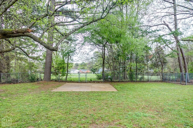 view of yard featuring a fenced backyard and a patio