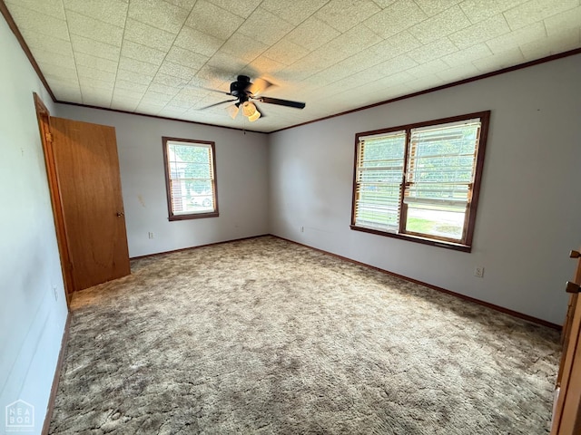 710 E Jackson St, Piggott, AR 72454 - photo 38